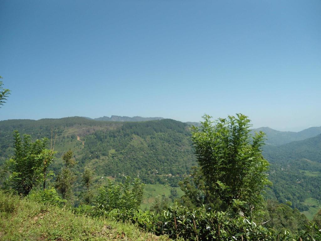 Mount River View Канди Экстерьер фото